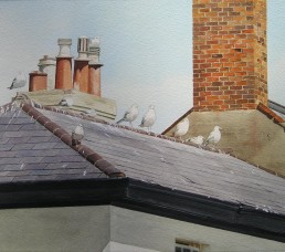 Aldeburgh summer gulls.