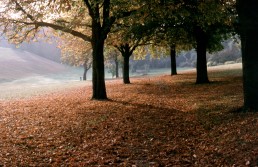 CHRISTCHURCH PARK