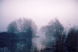 EARLY MORNING MIST 1