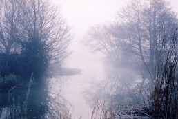 EARLY MORNING MIST 2