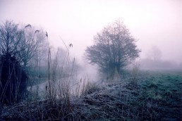 EARLY MORNING MIST 3
