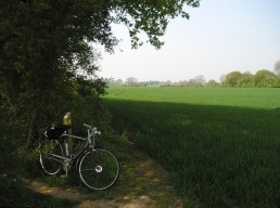 NORTHERN FRINGE HOUSING SITE
