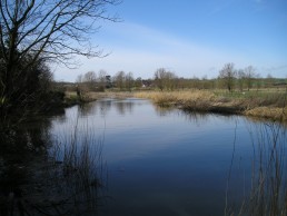 RIVER GIPPING AT BRAMFORD