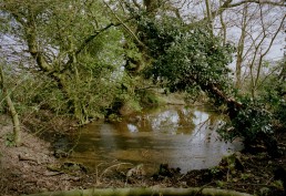 GROVE FARM OVERFLOW POND