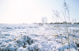 WESTERFIELD HOUSING DEVELOPMENT SITE 2