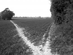 WESTERFIELD HOUSING DEVELOPMENT SITE